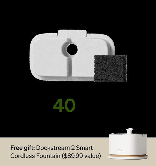 18-Month Filter & Free Fountain Combo