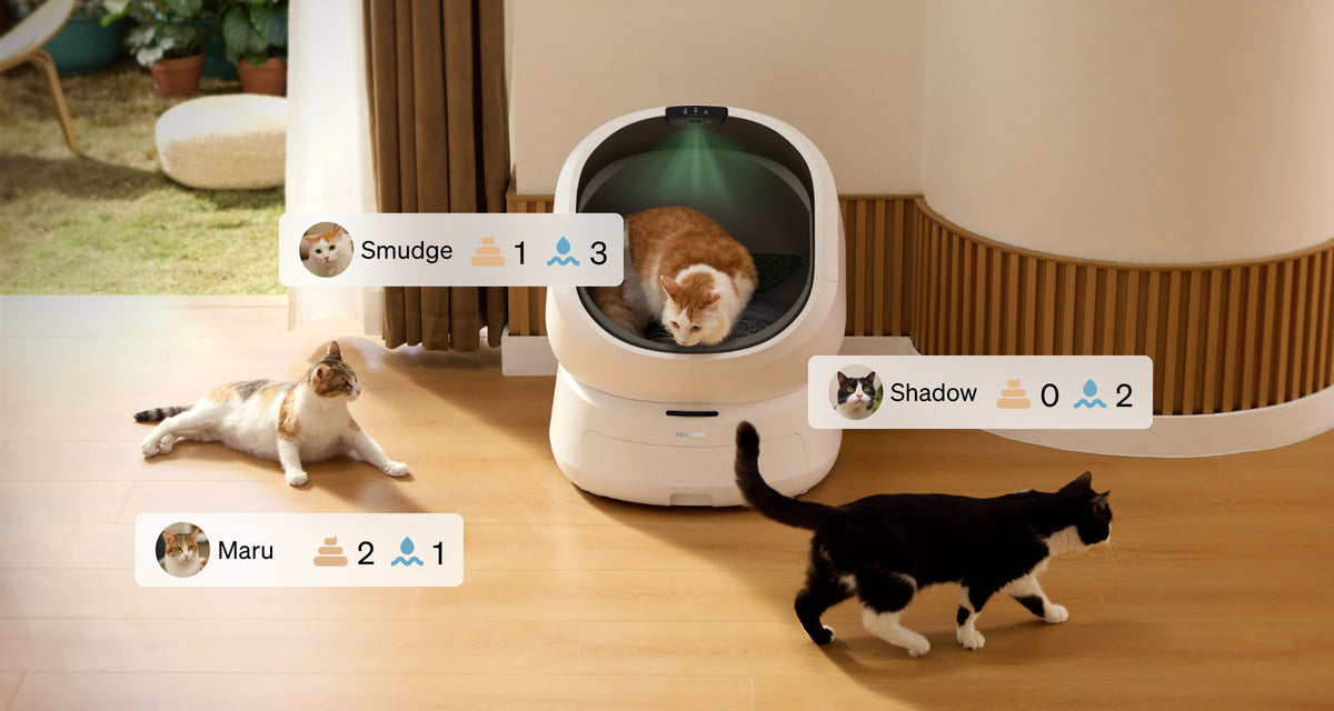 Luma Smart Litter Box with Wet Feeder
