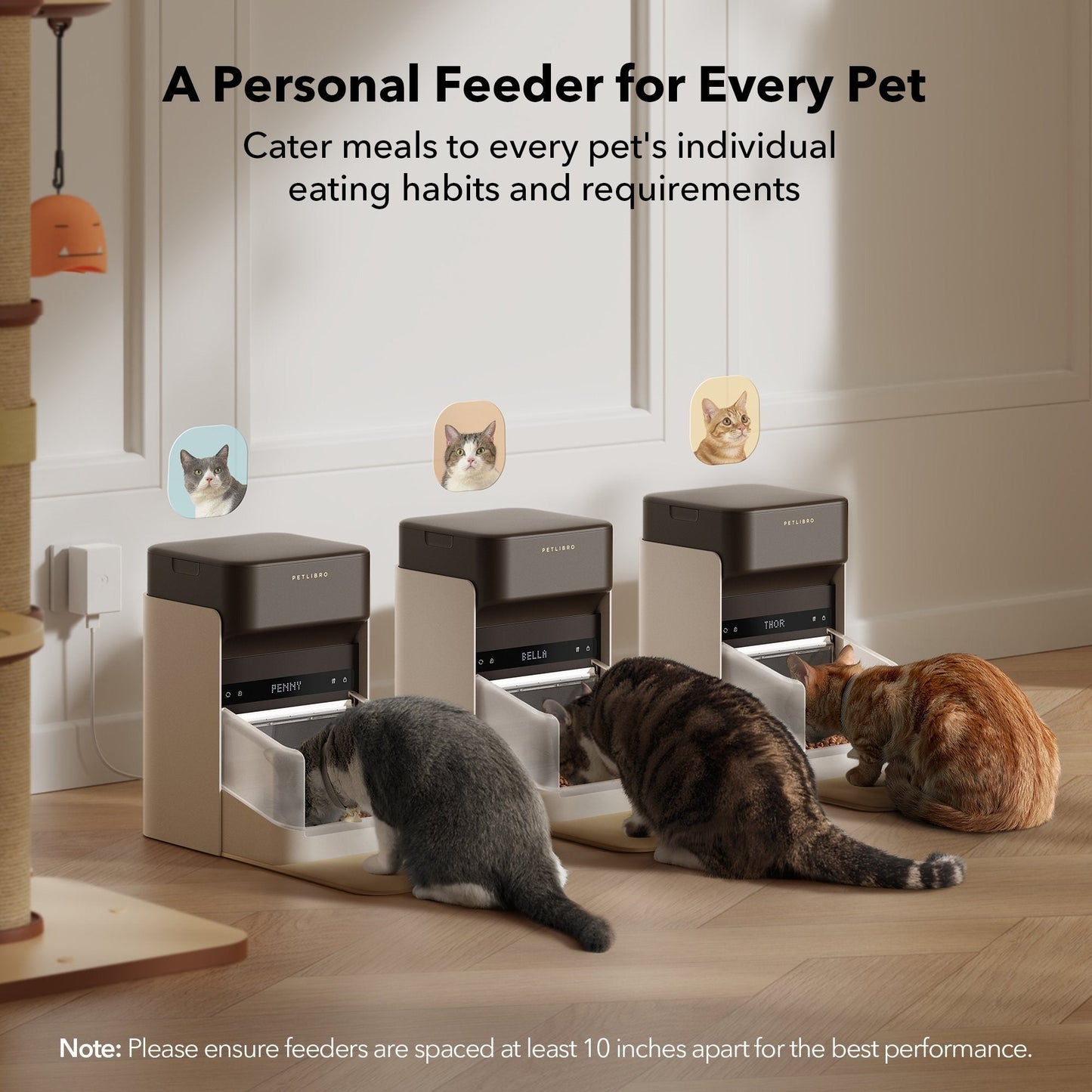 RFID Smart Feeder & Scout Smart Camera