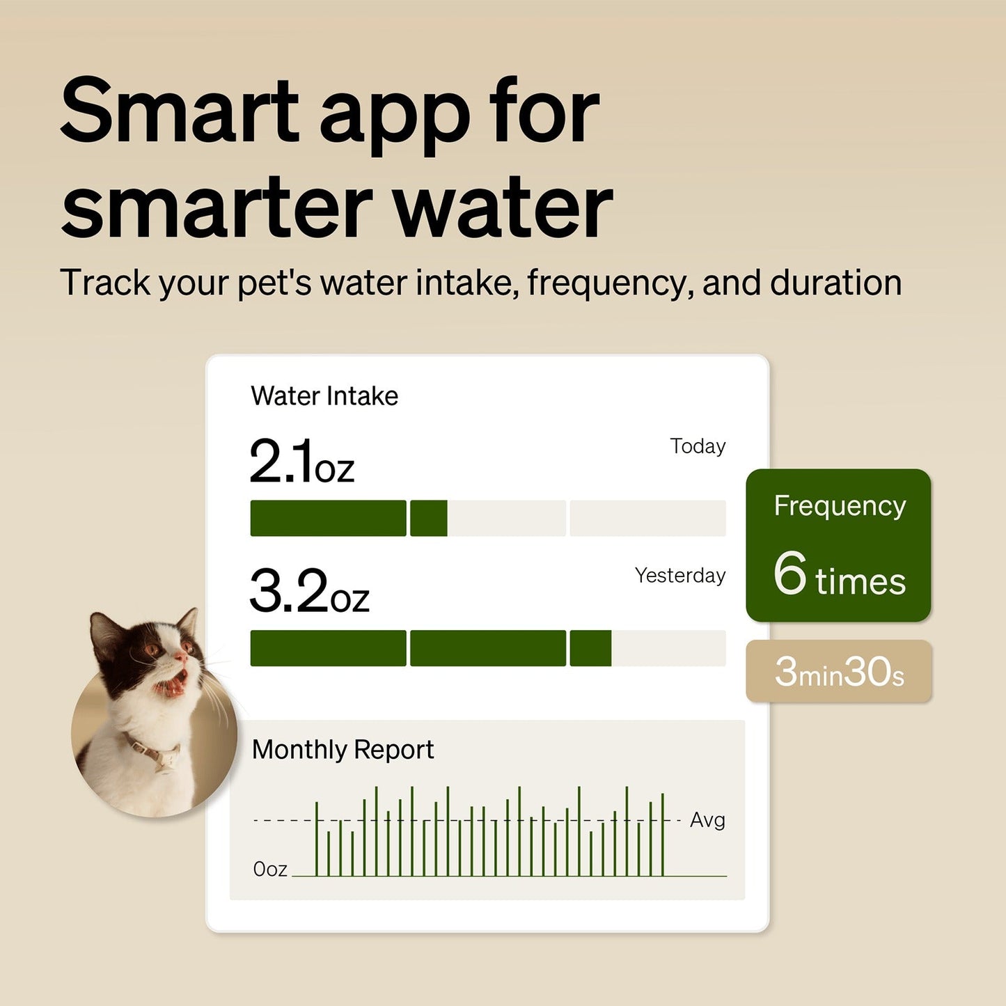 RFID Smart Feeder & Dockstream 2 Smart Cordless Fountain Bundle