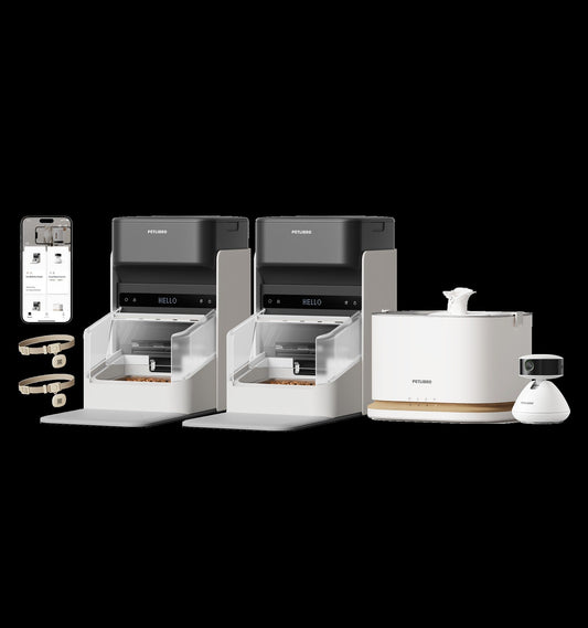 One RFID Smart Feeder & Dockstream 2 Smart Cordless Fountain & Scout Smart Camera