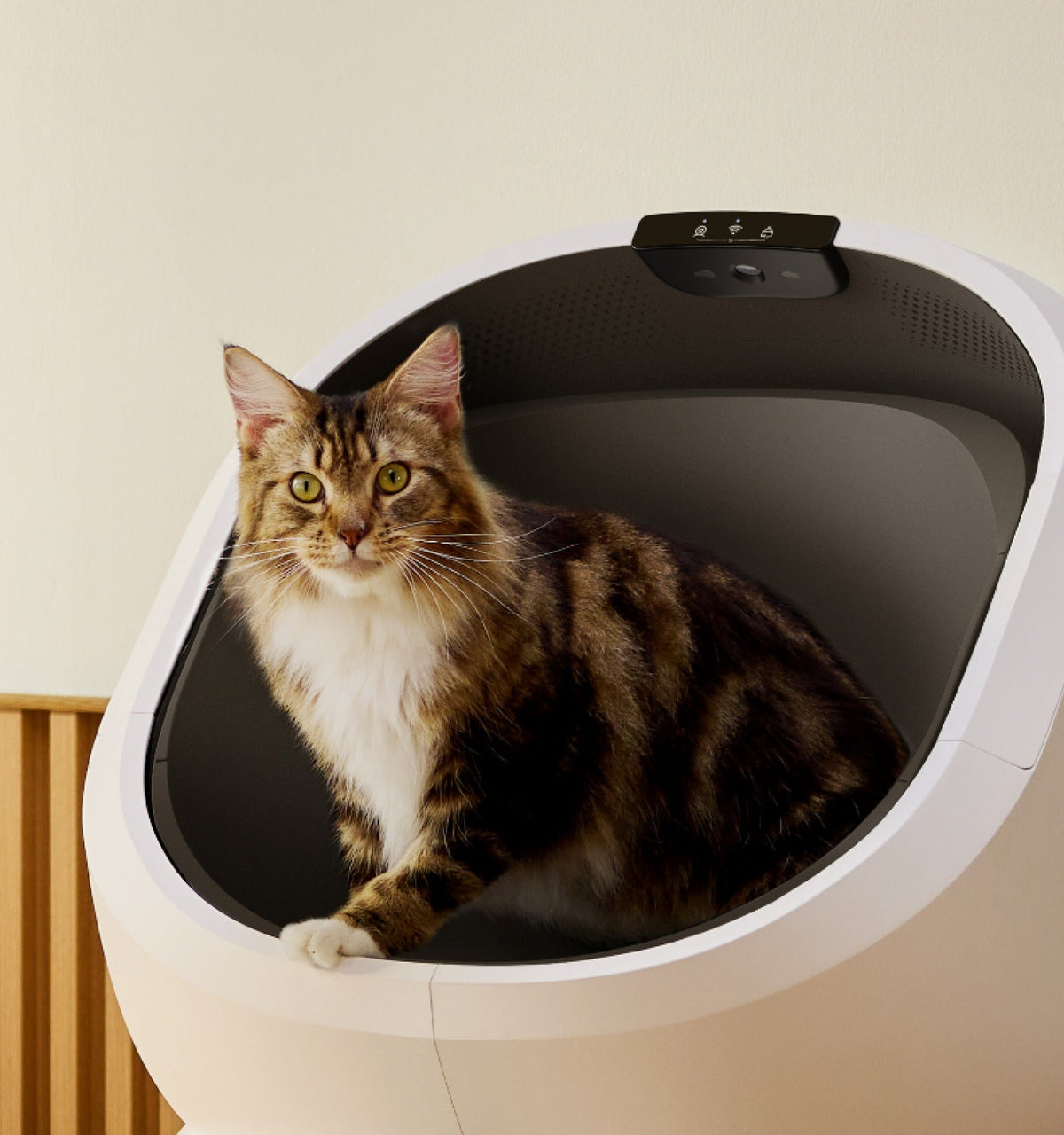 Luma Smart Litter Box with Wet Feeder