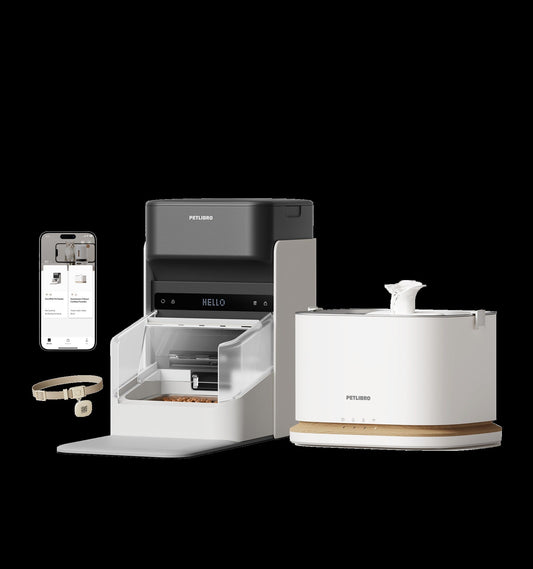 RFID Smart Feeder & Dockstream 2 Smart Cordless Fountain Bundle