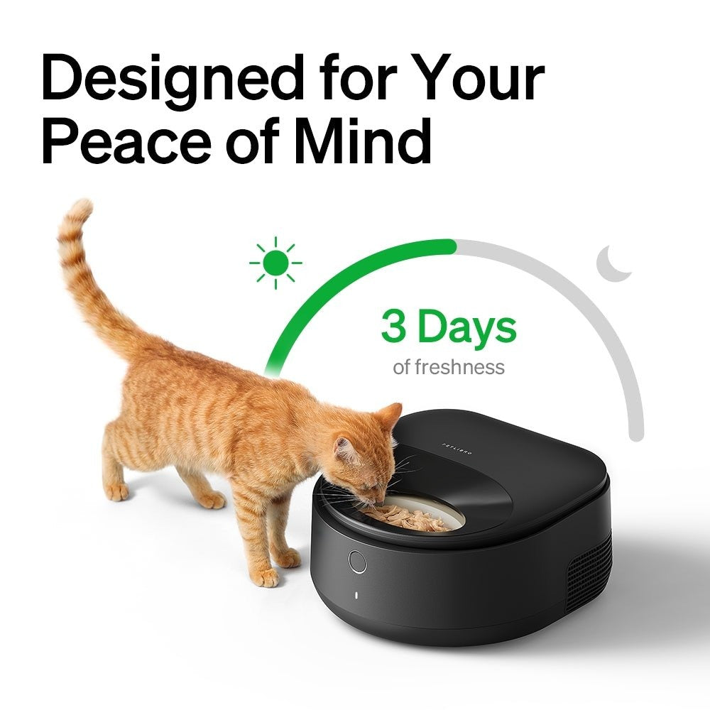 Polar Wet Food Feeder & Granary Camera Feeder Bundle