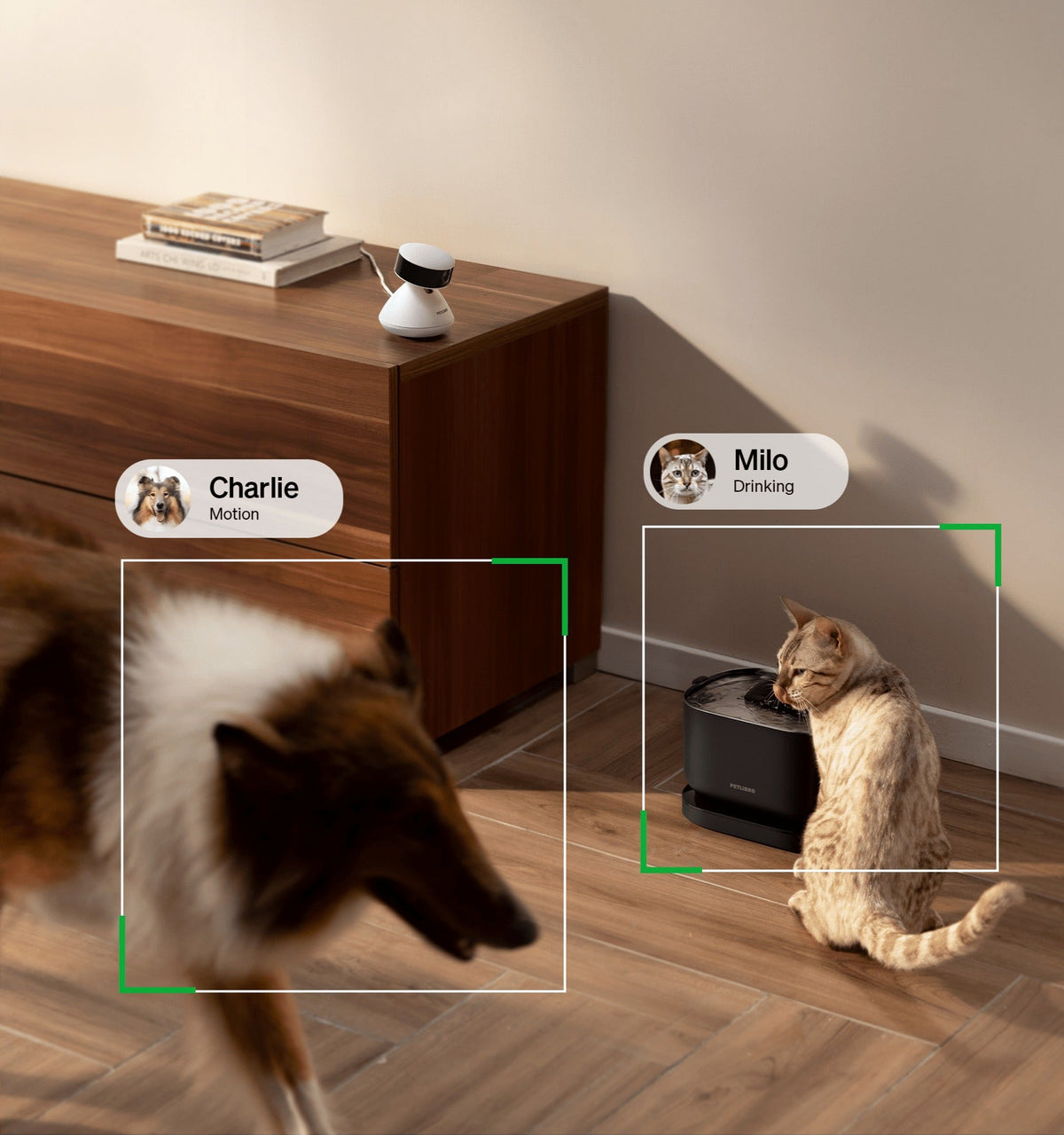 RFID Smart Feeder & Scout Smart Camera