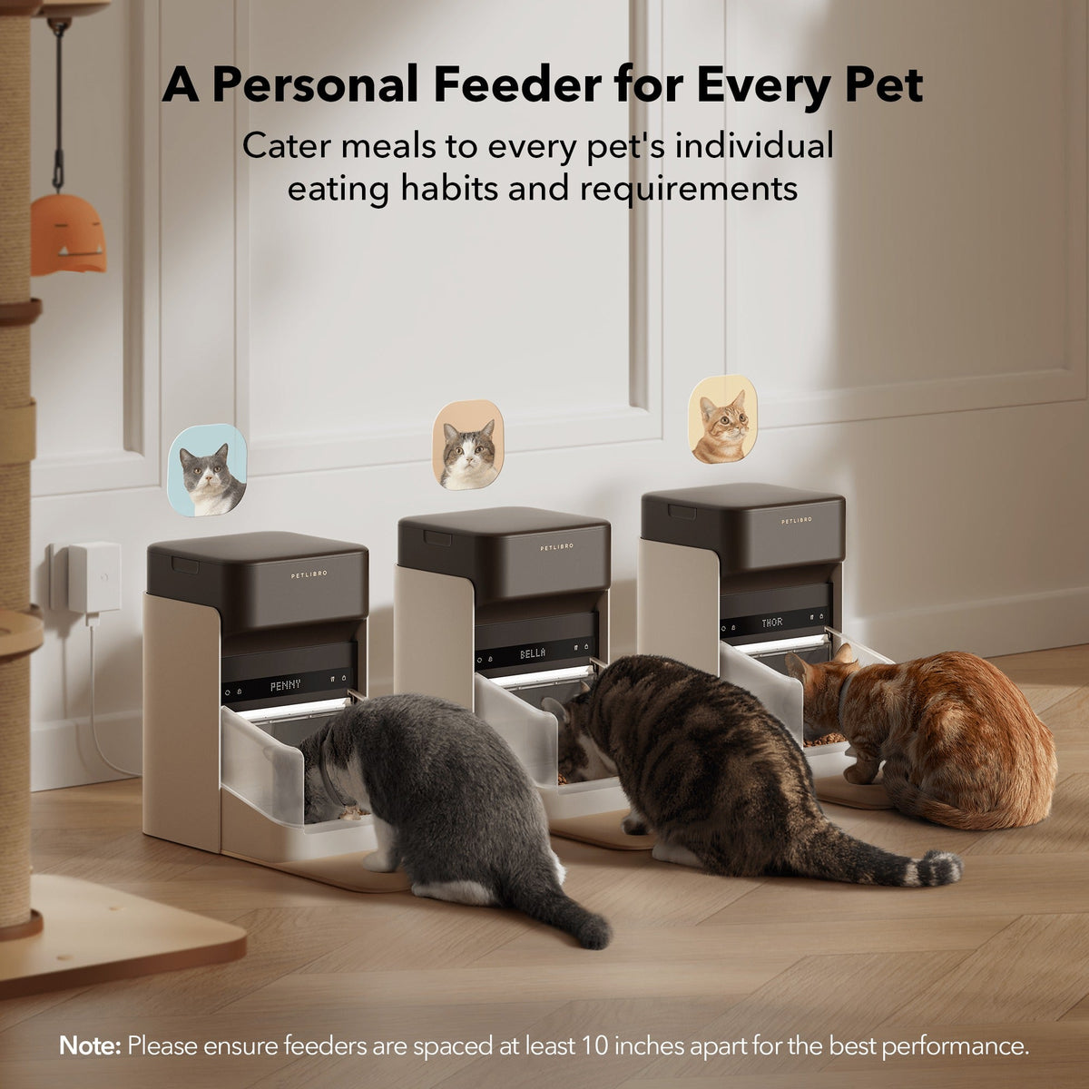 One RFID Smart Feeder for pet