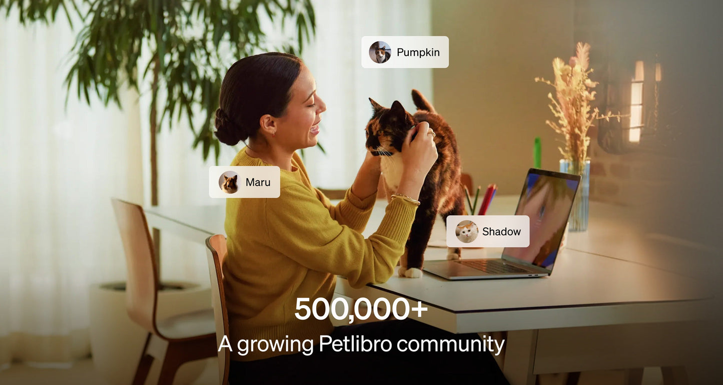 Petlibro Care